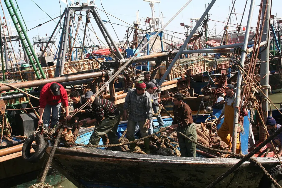 Port de pêche d’Essaouira au Maroc